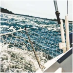 Guard Rail Netting 15m 25mm - Image 1