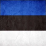 Estonian Flag 40x60cm with loops - Image 1