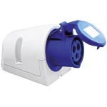 Kaldavoolu CEE pesa seinale II (F) - Image 1