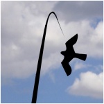 Bird Defense Hawk Kite - Image 1
