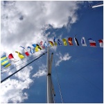 Code Flags 29m 45x36cm - Image 2