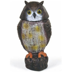 Linnupeletaja Öökull - Image 4