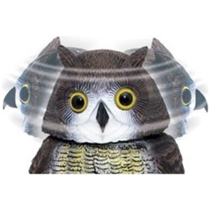 Linnupeletaja Öökull - Image 3