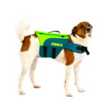 Koera päästevest Jobe Lime Teal - Image 1