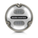 Hella APELO A2 Bronze Valge/Sinine - Image 3