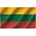 Lithuanian flag 20x30cm - Image 1